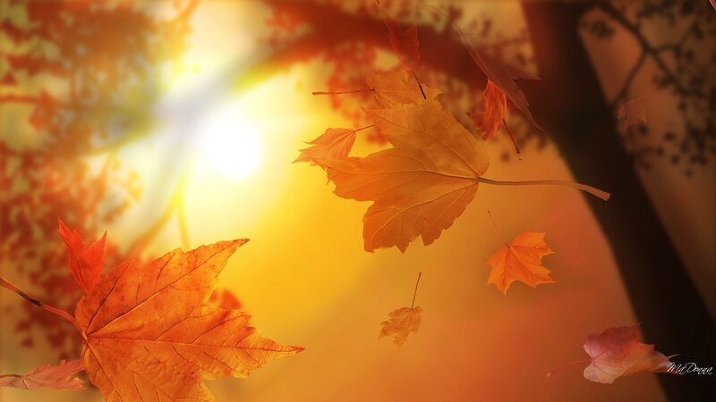 Falling Autumn Leaves — Orange, Serene, Digital Art