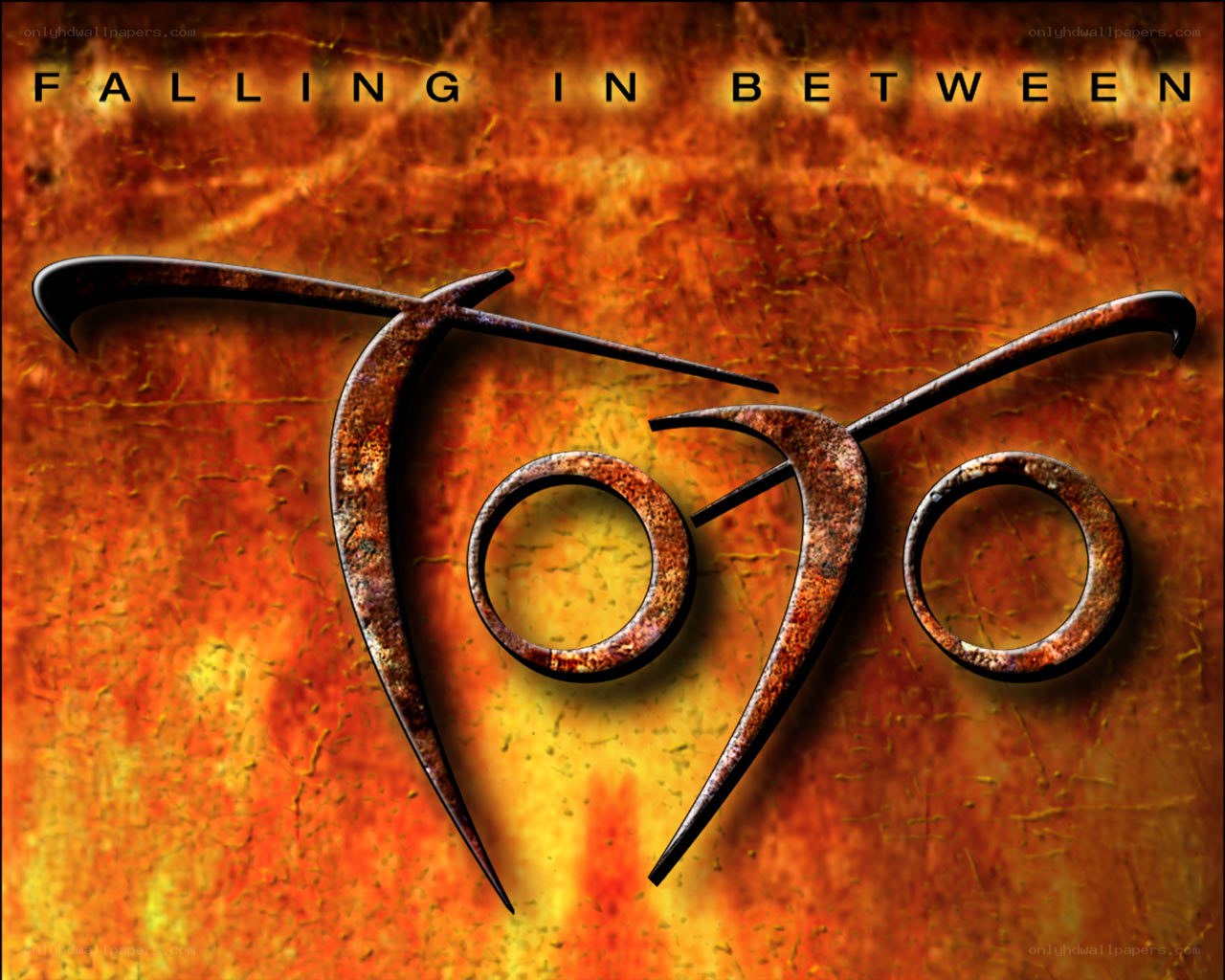 Falling in Between album cover