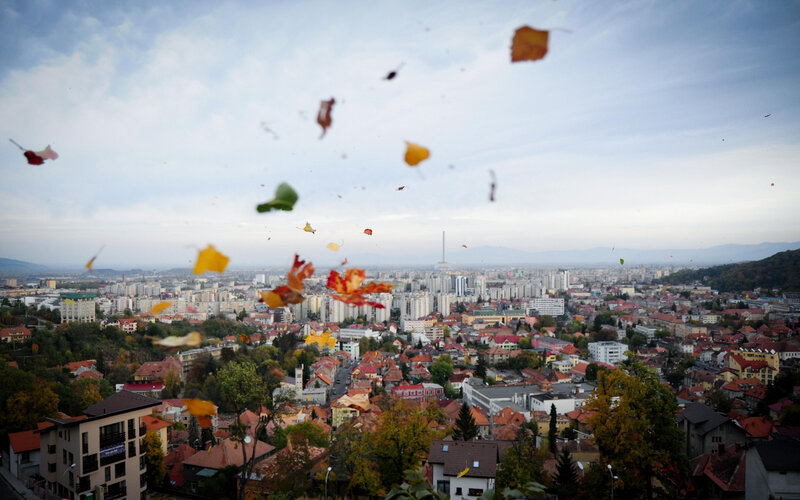 Falling Leaves over City
