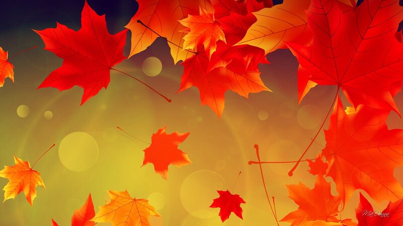 Falling Maple Leaves — Red