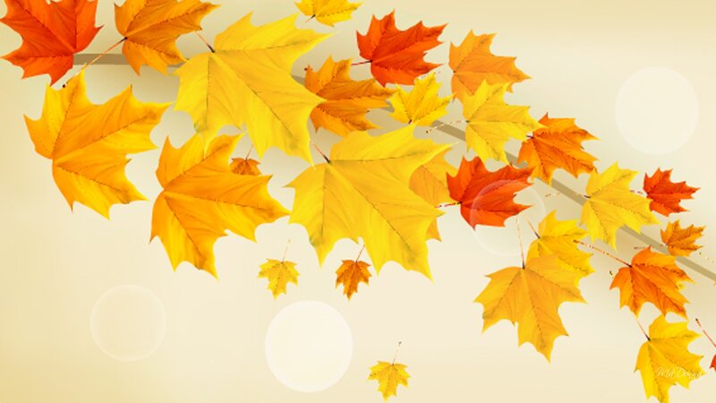 Falling Maple Leaves — Yellow