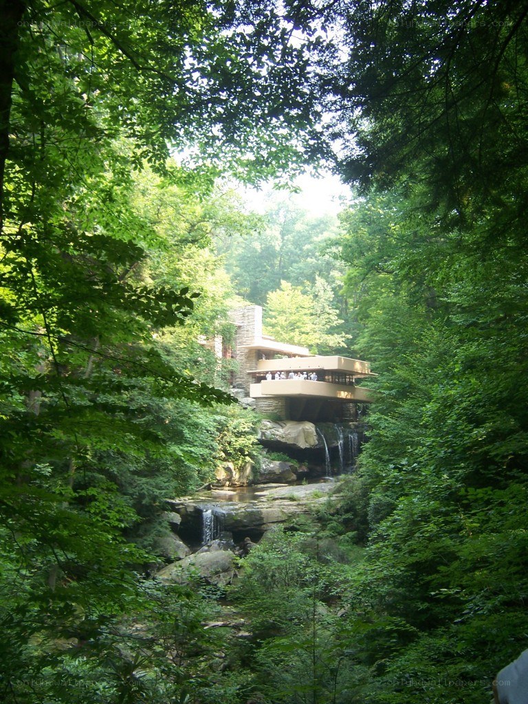 Fallingwater house in forest