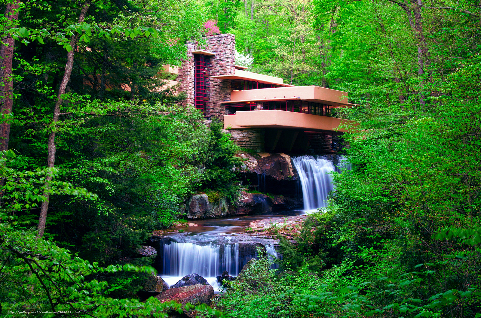Fallingwater house in forest