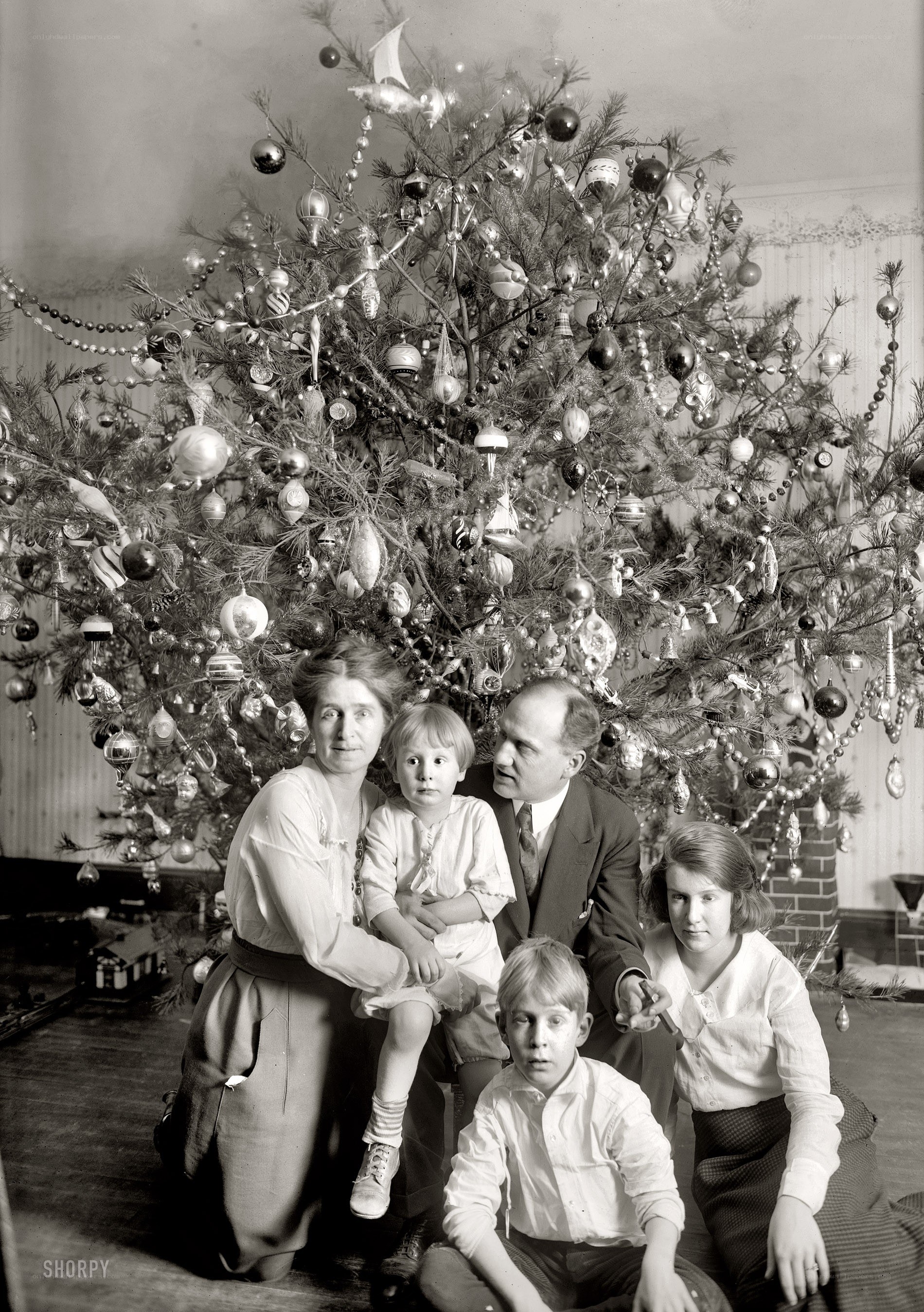 Family by Christmas tree
