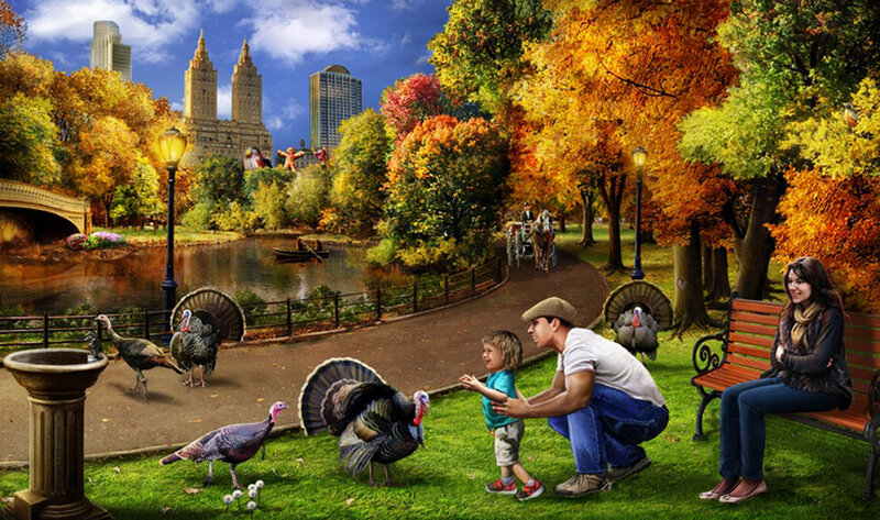 Family Feeding Turkeys