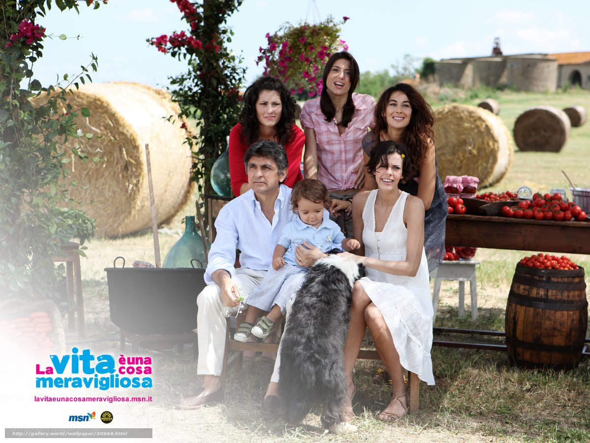 Family in a sunny field