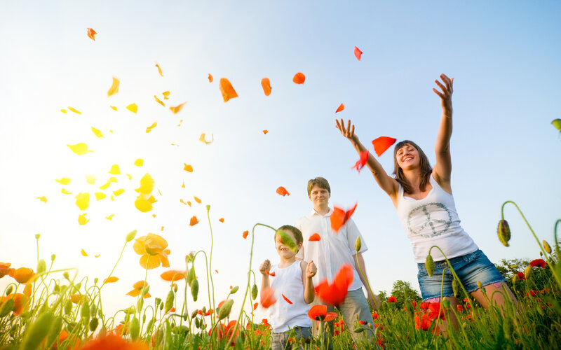 Family in Poppy Field