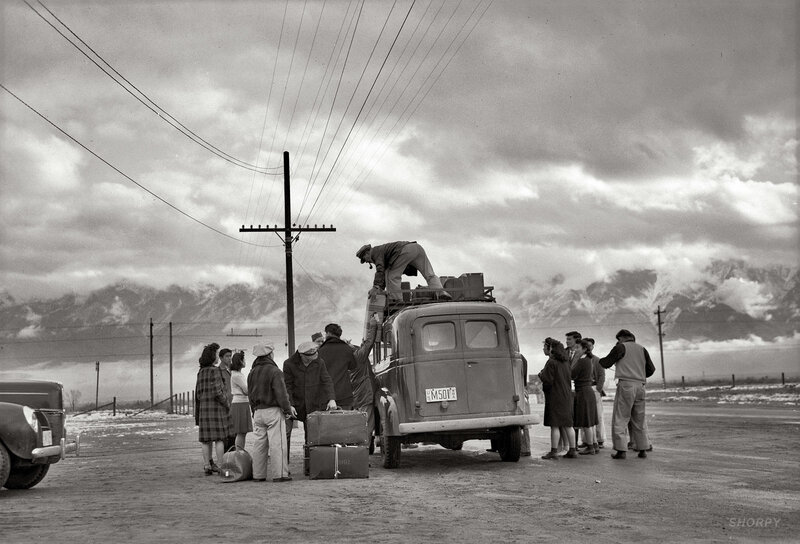 Family loading luggage onto van
