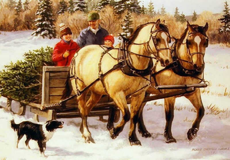 Family on Horse-drawn Sleigh — White, Festive, Winter