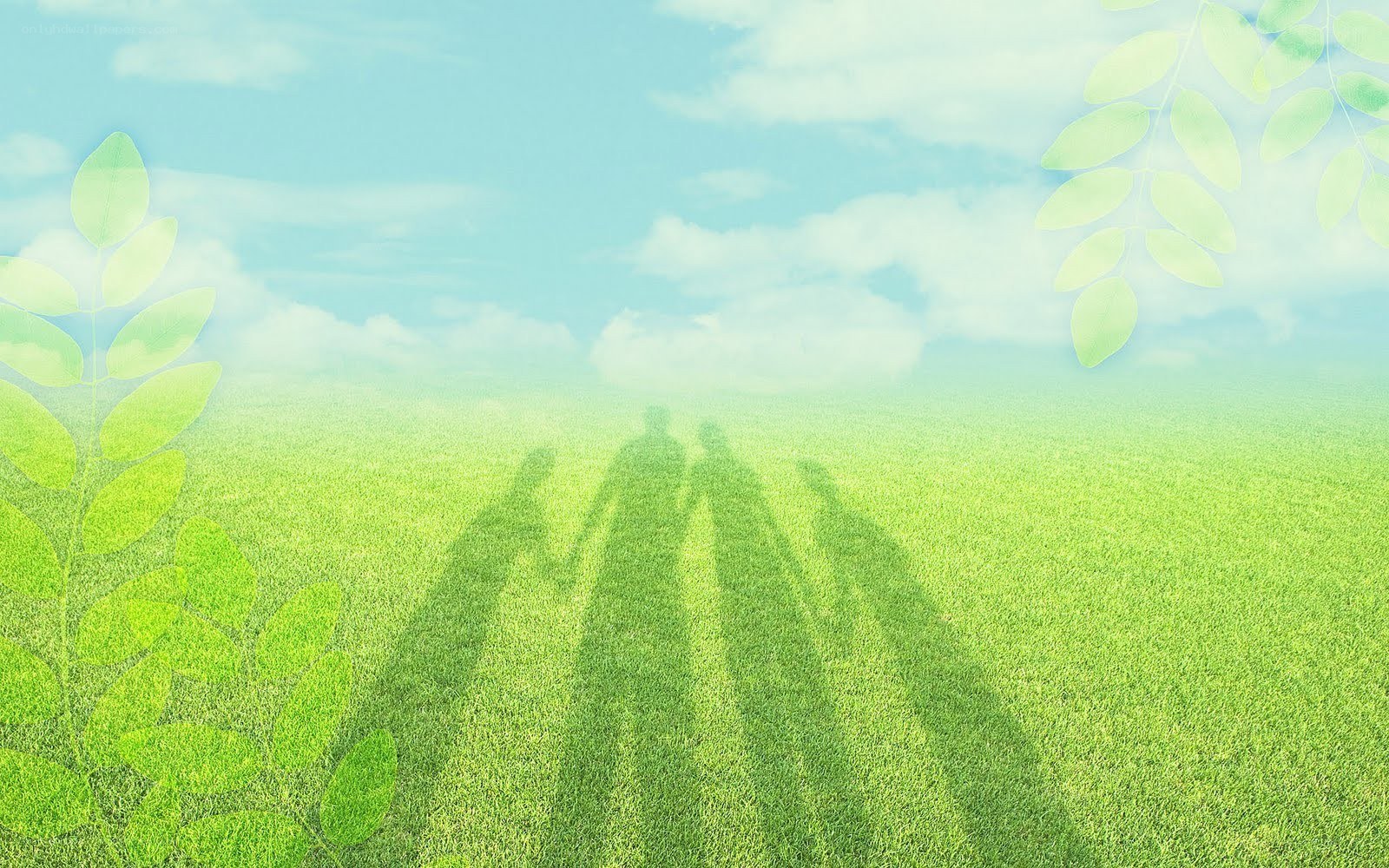 family shadows on grass