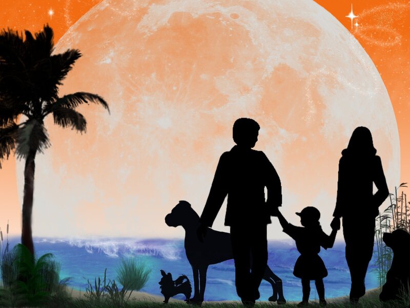 Family silhouette on beach at sunset