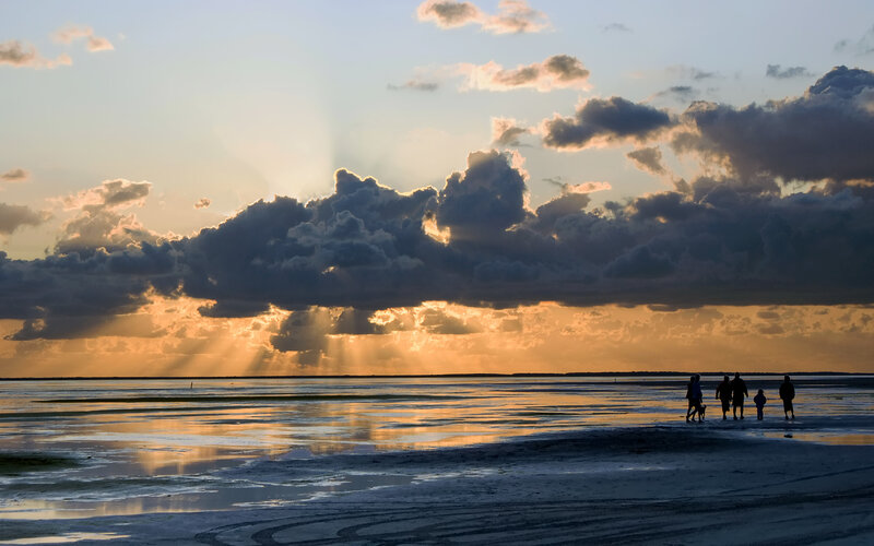 Family silhouettes at sunset on beach