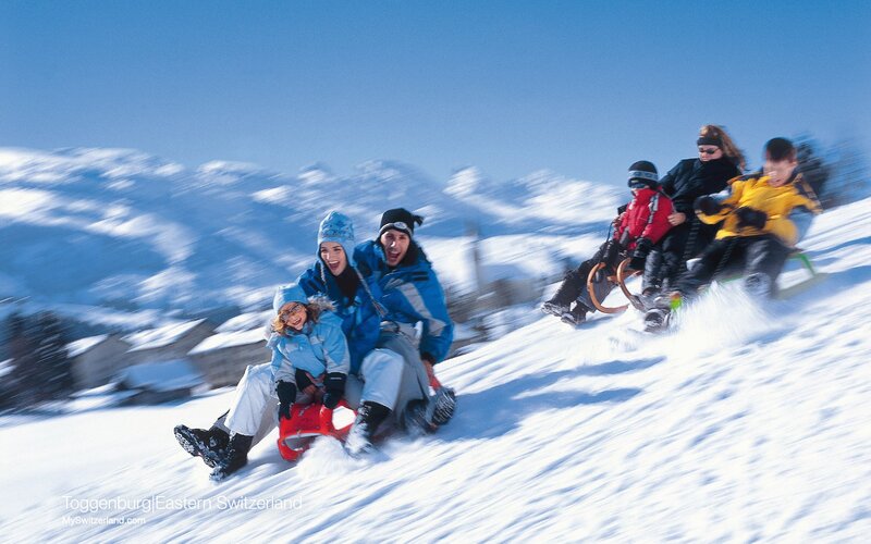 Family Sledding