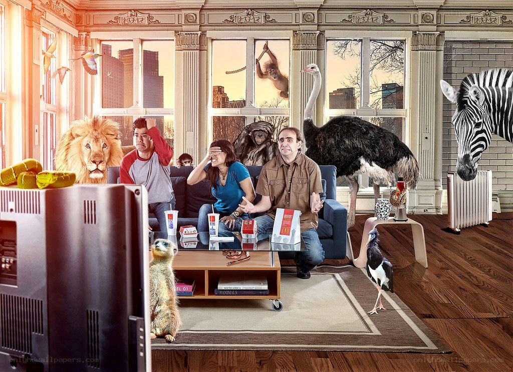 Family watching TV with animals