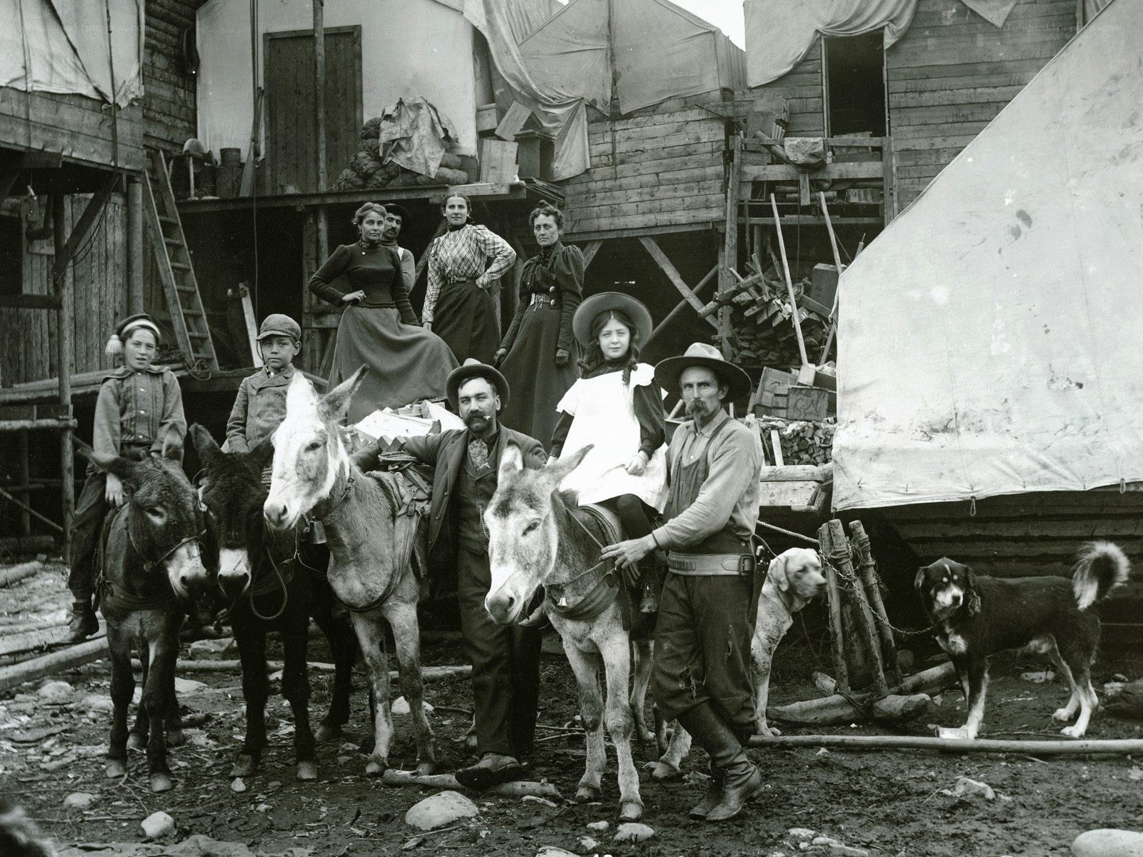 Family with donkeys in camp