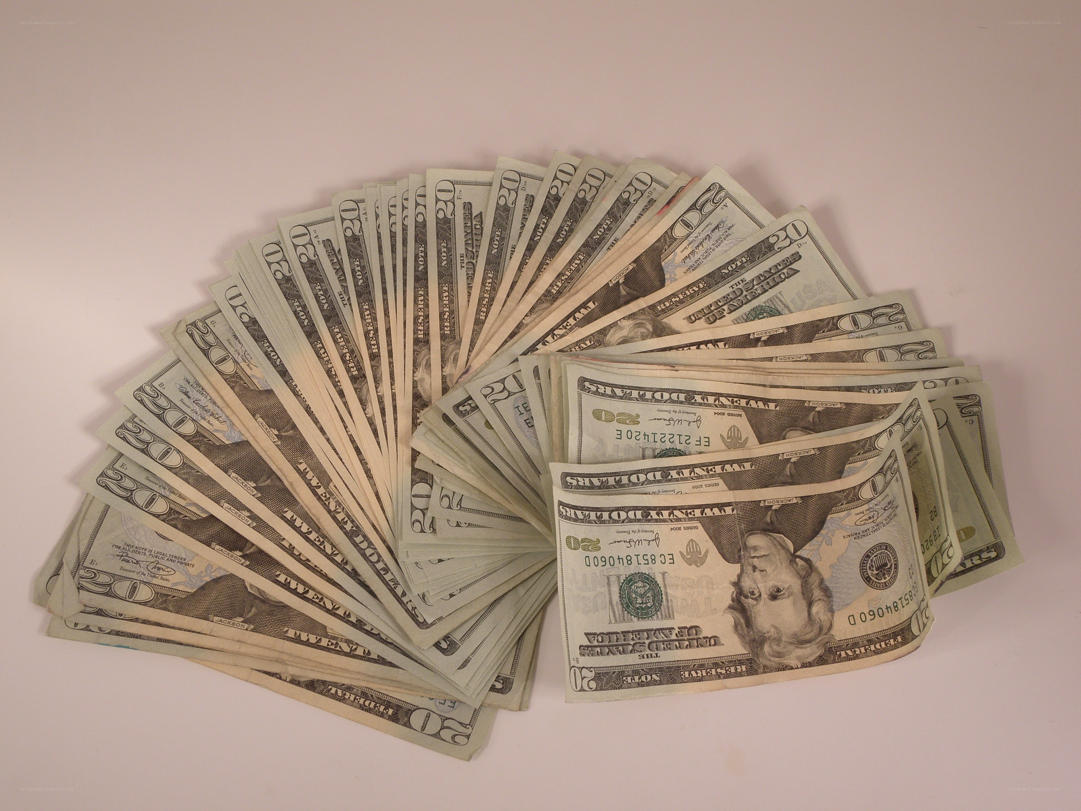 fanned twenty-dollar bills