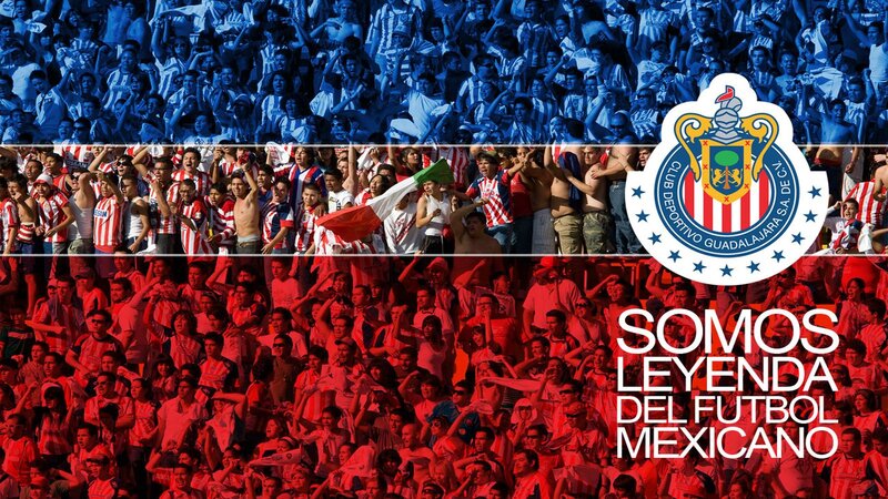 Fans at a Soccer Match