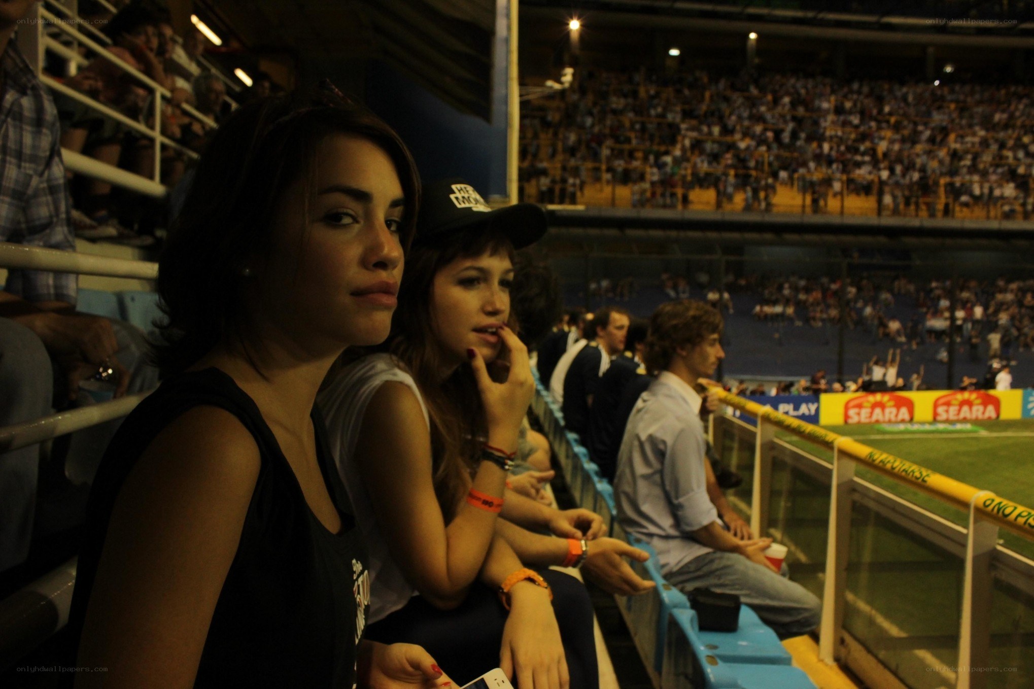 Fans at a stadium event