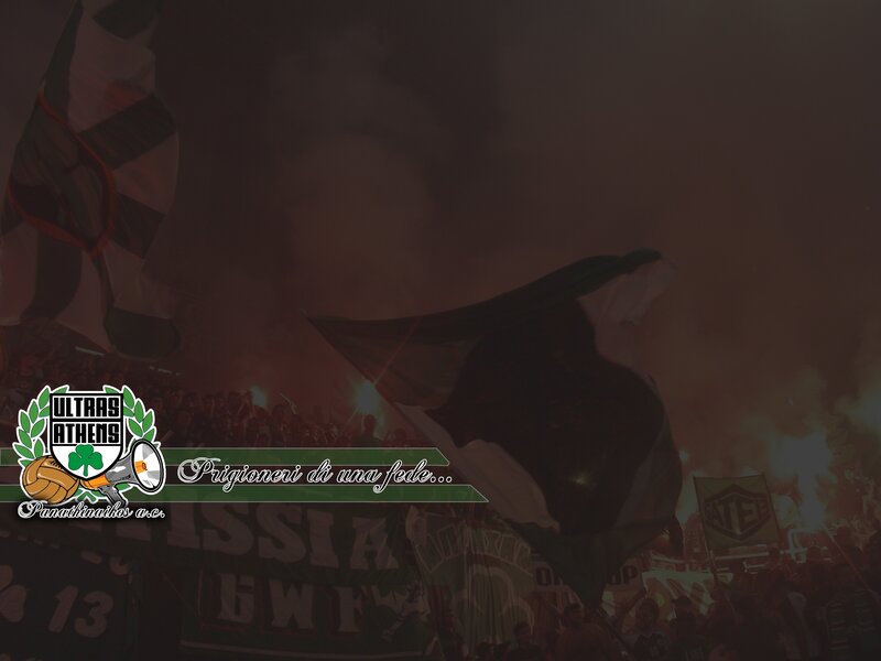 Fans at a Stadium — Green