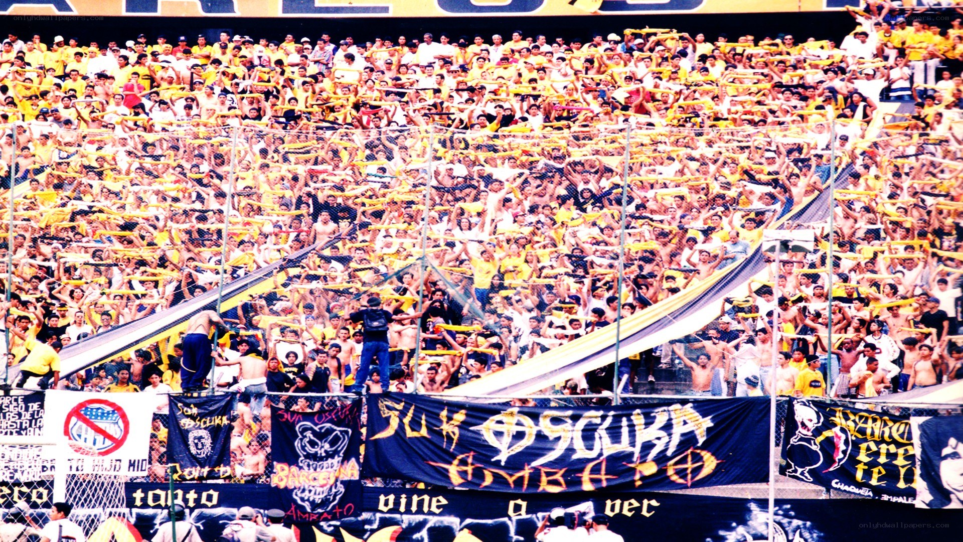 fans at a stadium