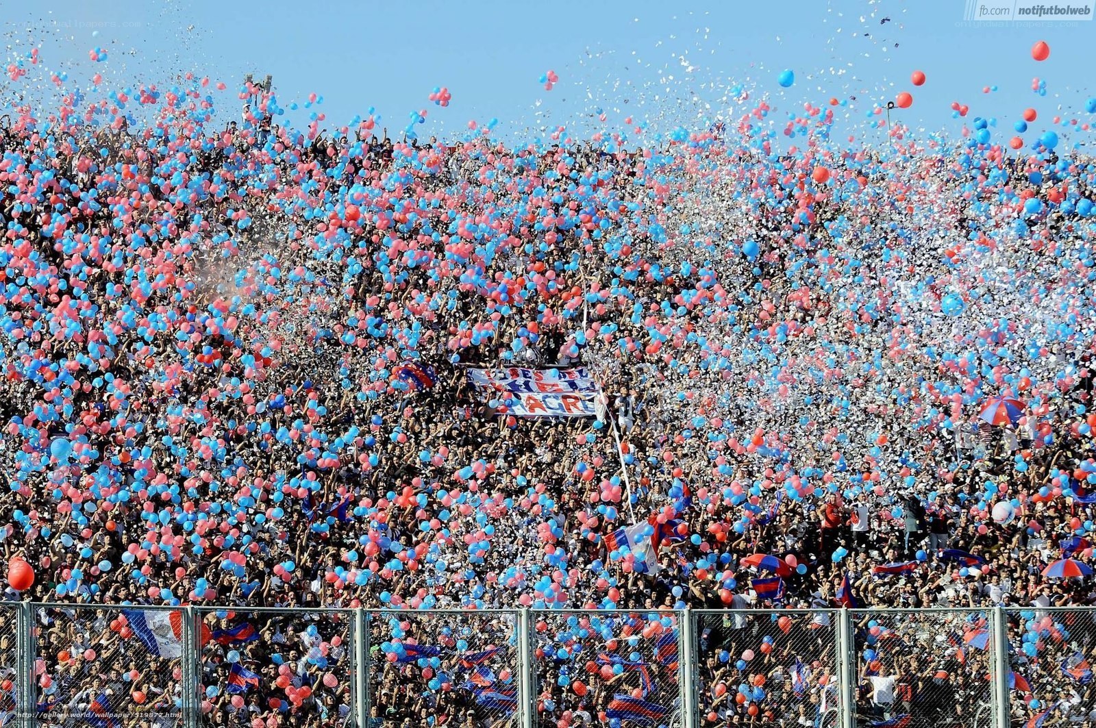 Fans celebrating with balloons