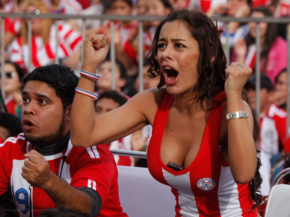 fans cheering at a soccer match