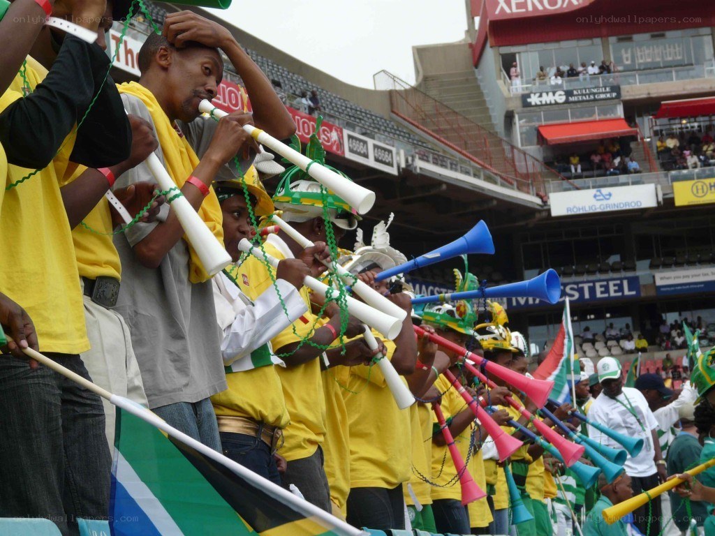 Fans cheering at a stadium