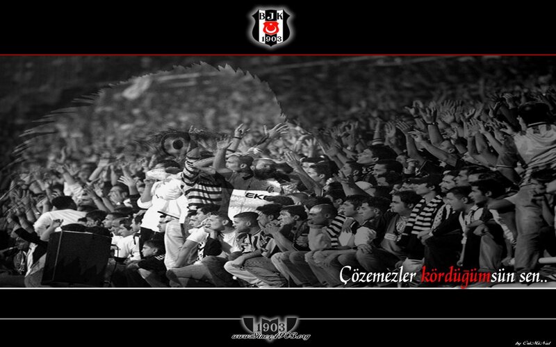 Fans in Stadium — Black