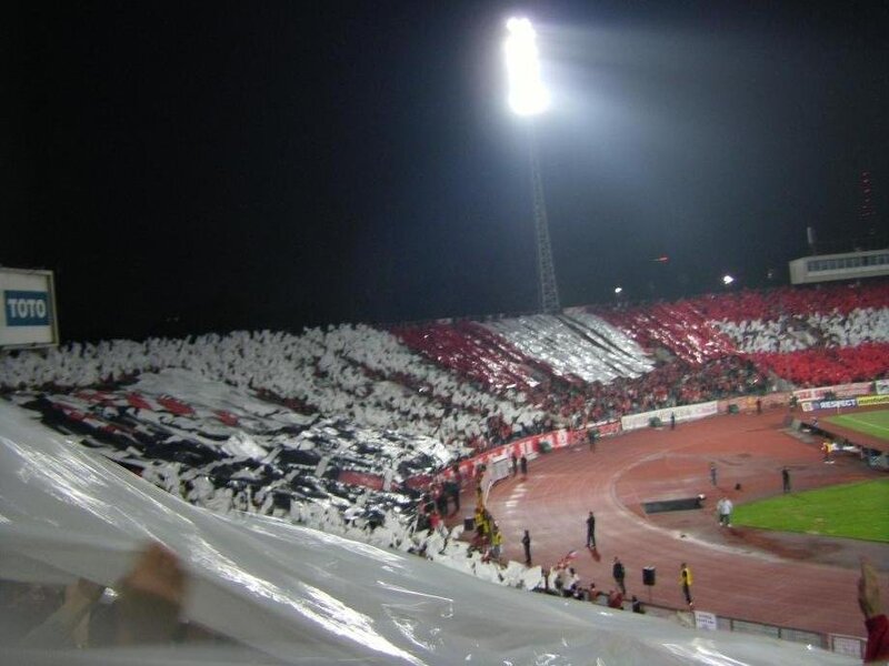 Fans in Stadium