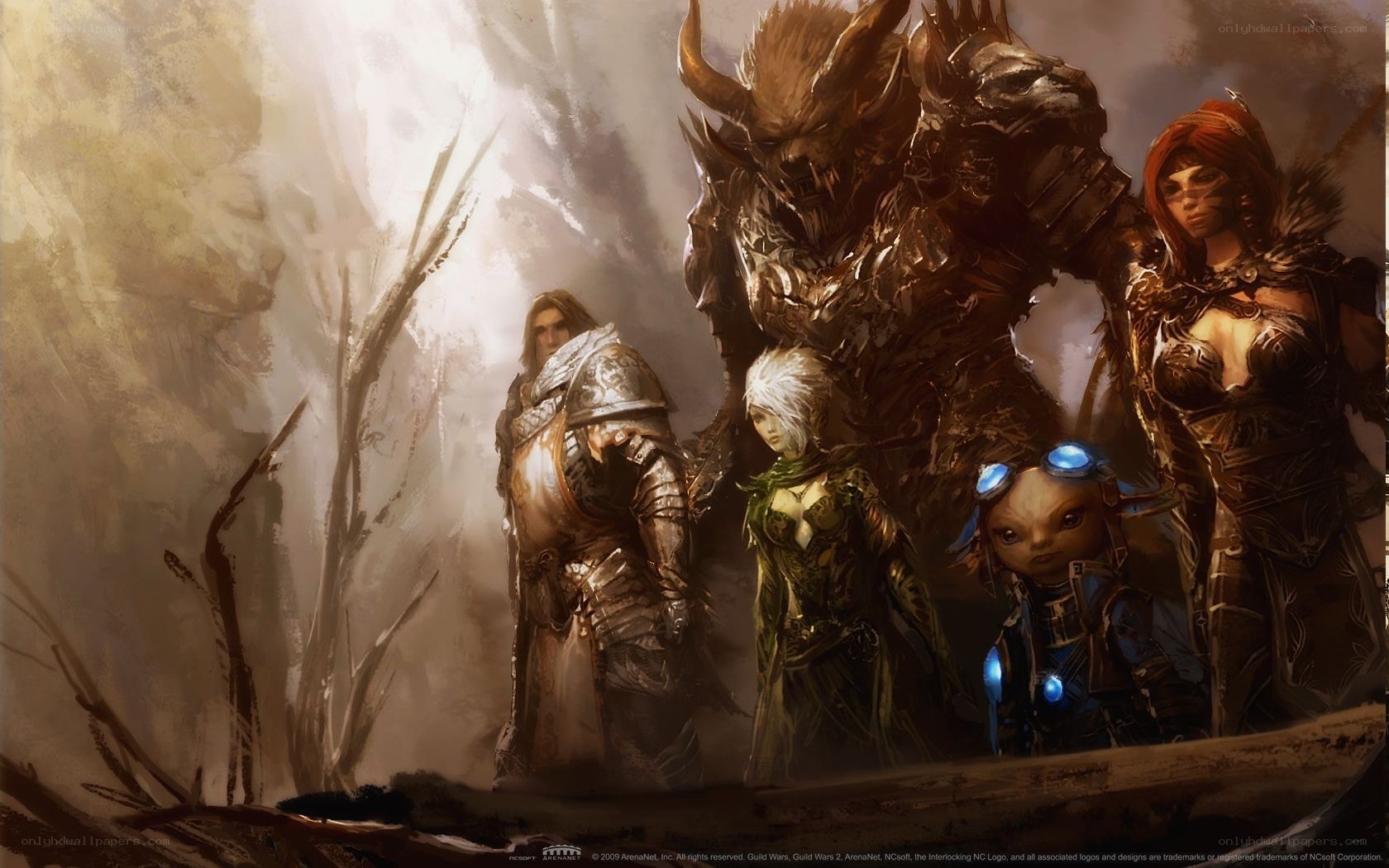 fantasy adventurers in armor