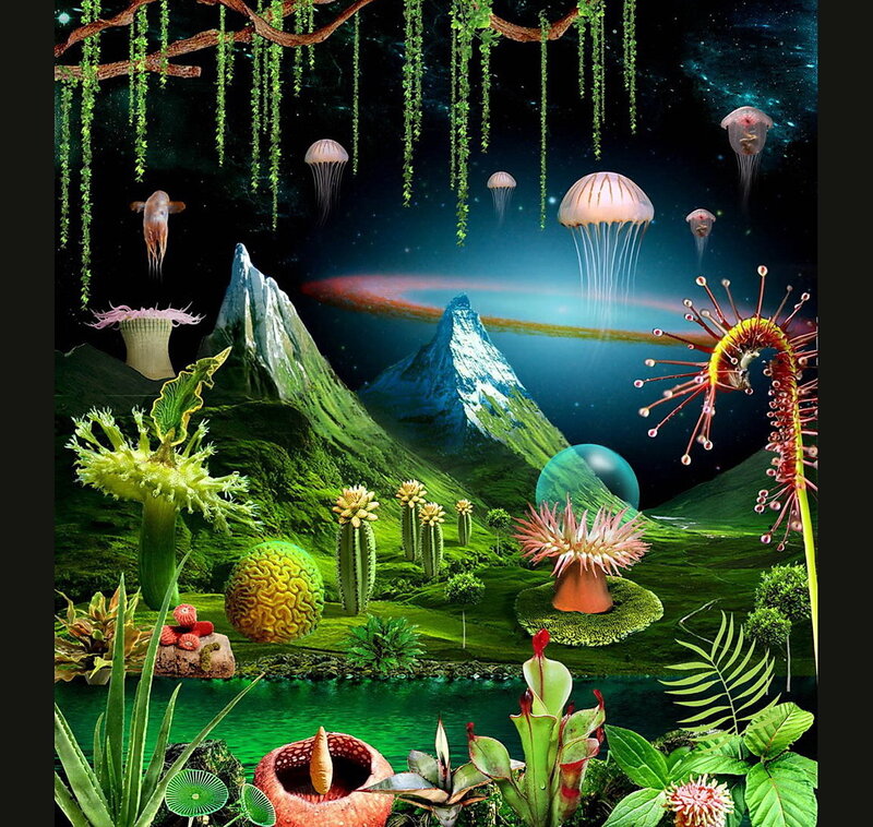 fantasy alien landscape