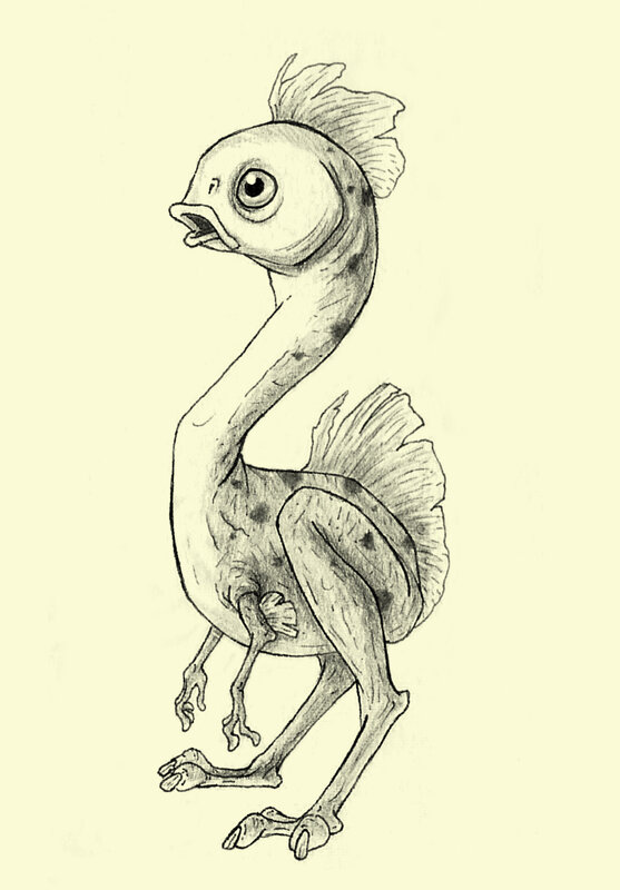 fantasy bird creature drawing