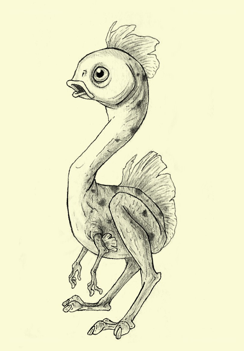 fantasy bird creature drawing