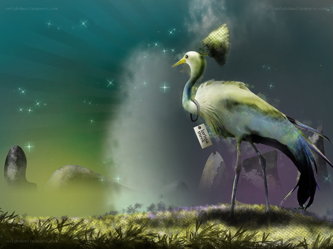 Fantasy bird with tag