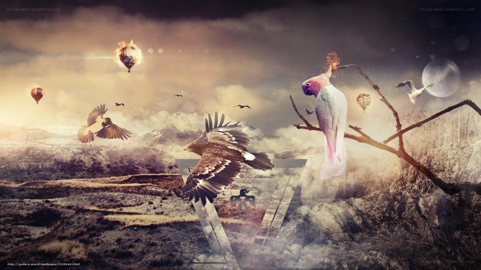 fantasy birds and hot air balloons