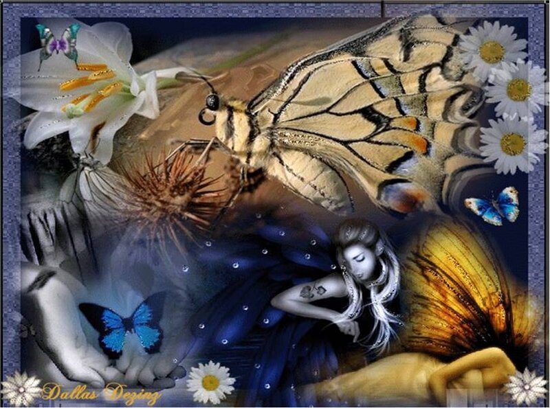 Fantasy butterfly and fairy