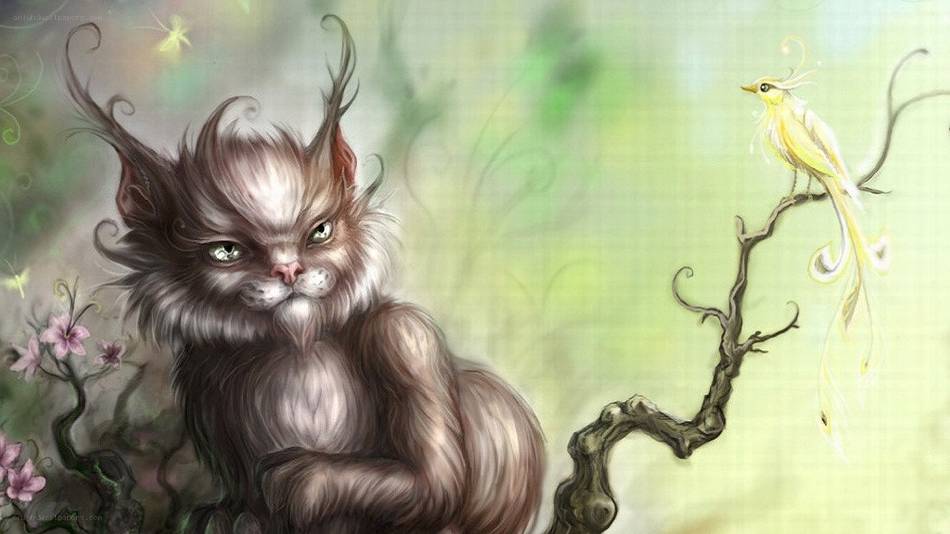 Fantasy cat and bird illustration
