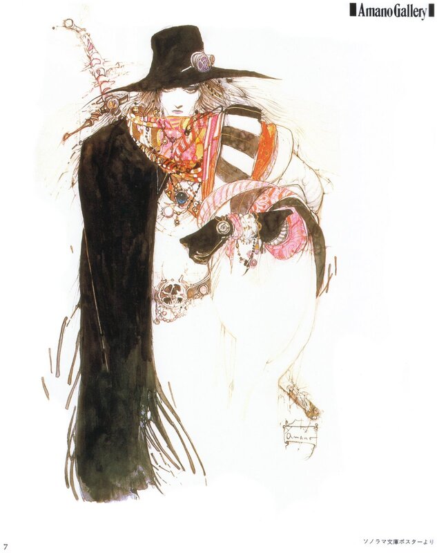 fantasy character with wide hat