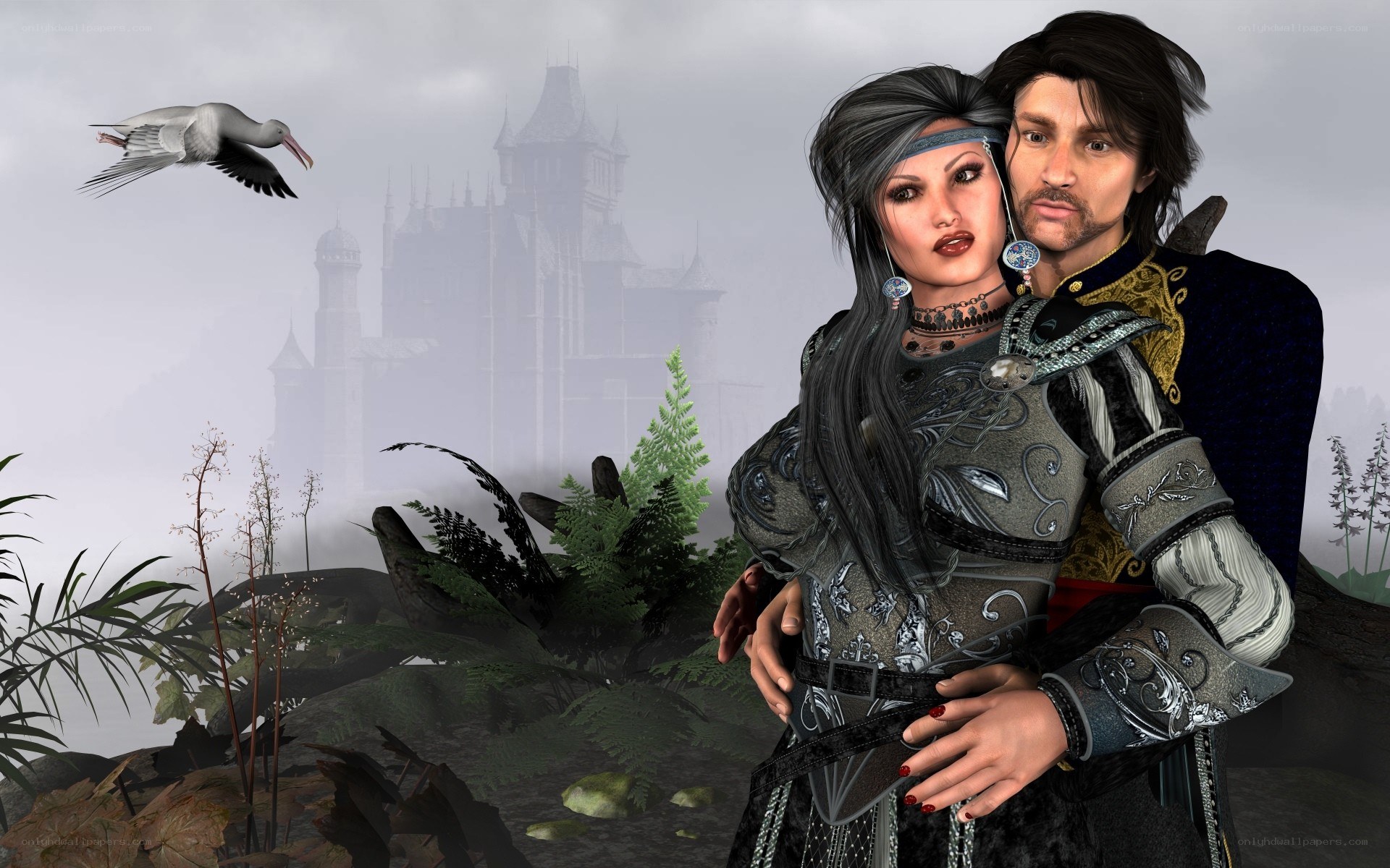 fantasy couple in misty landscape