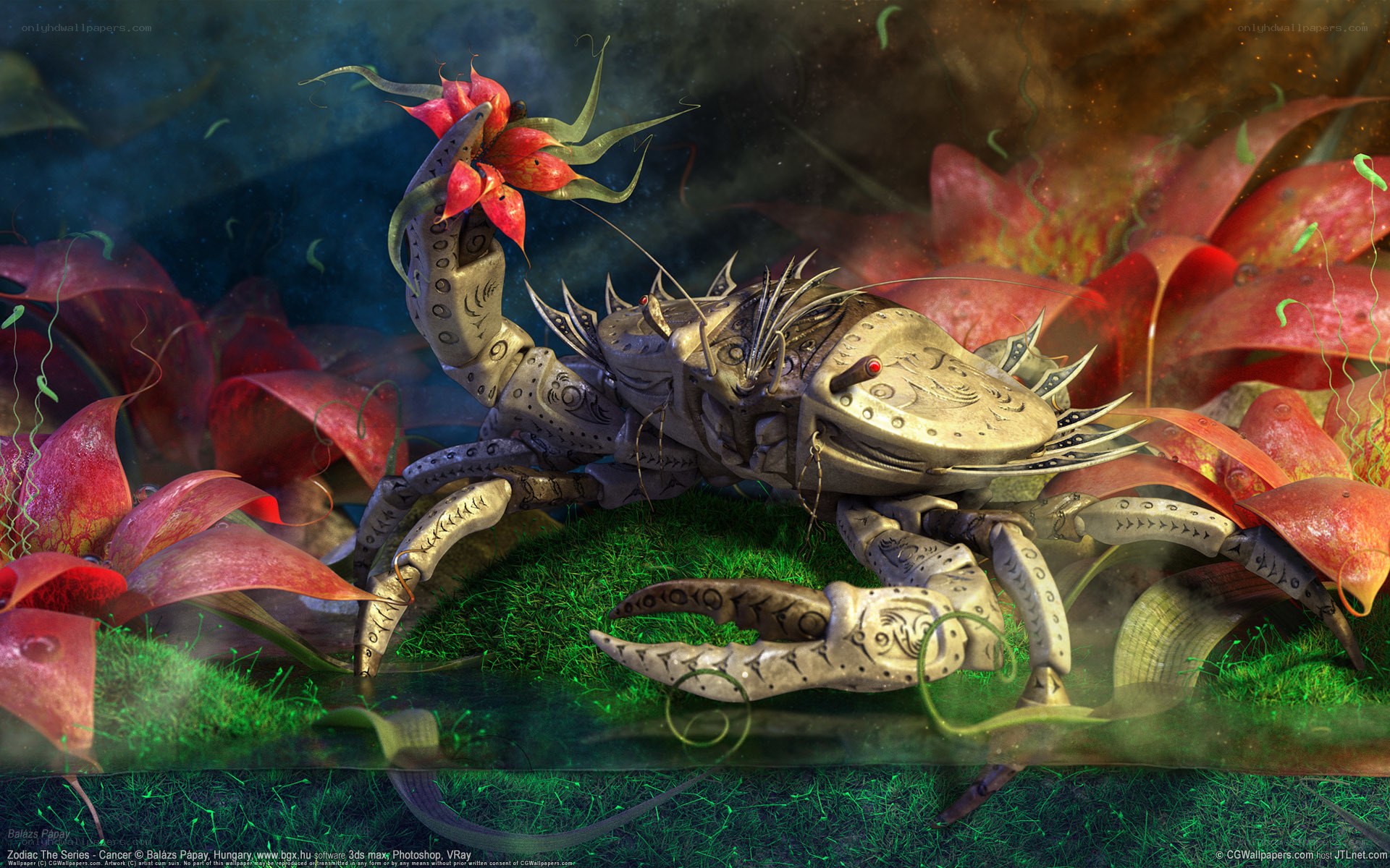 Fantasy crab with red flower