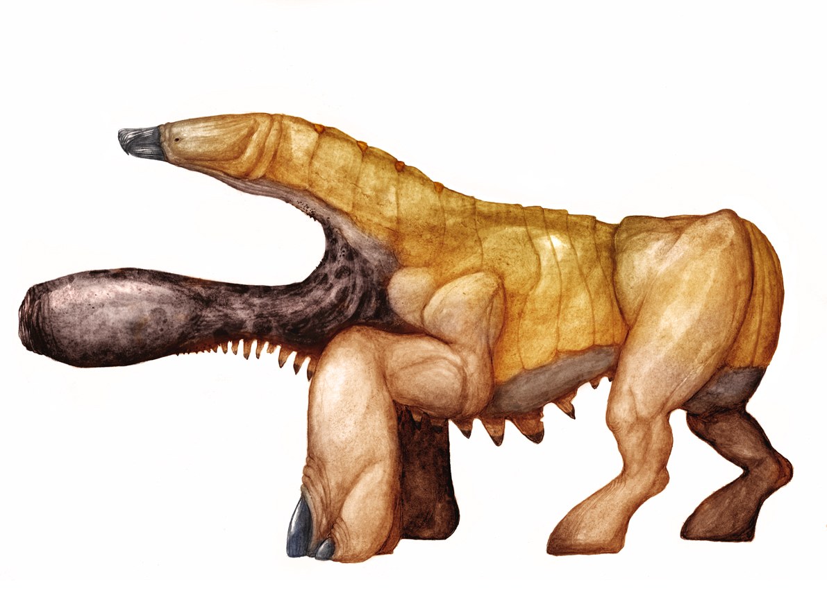 Fantasy creature illustration