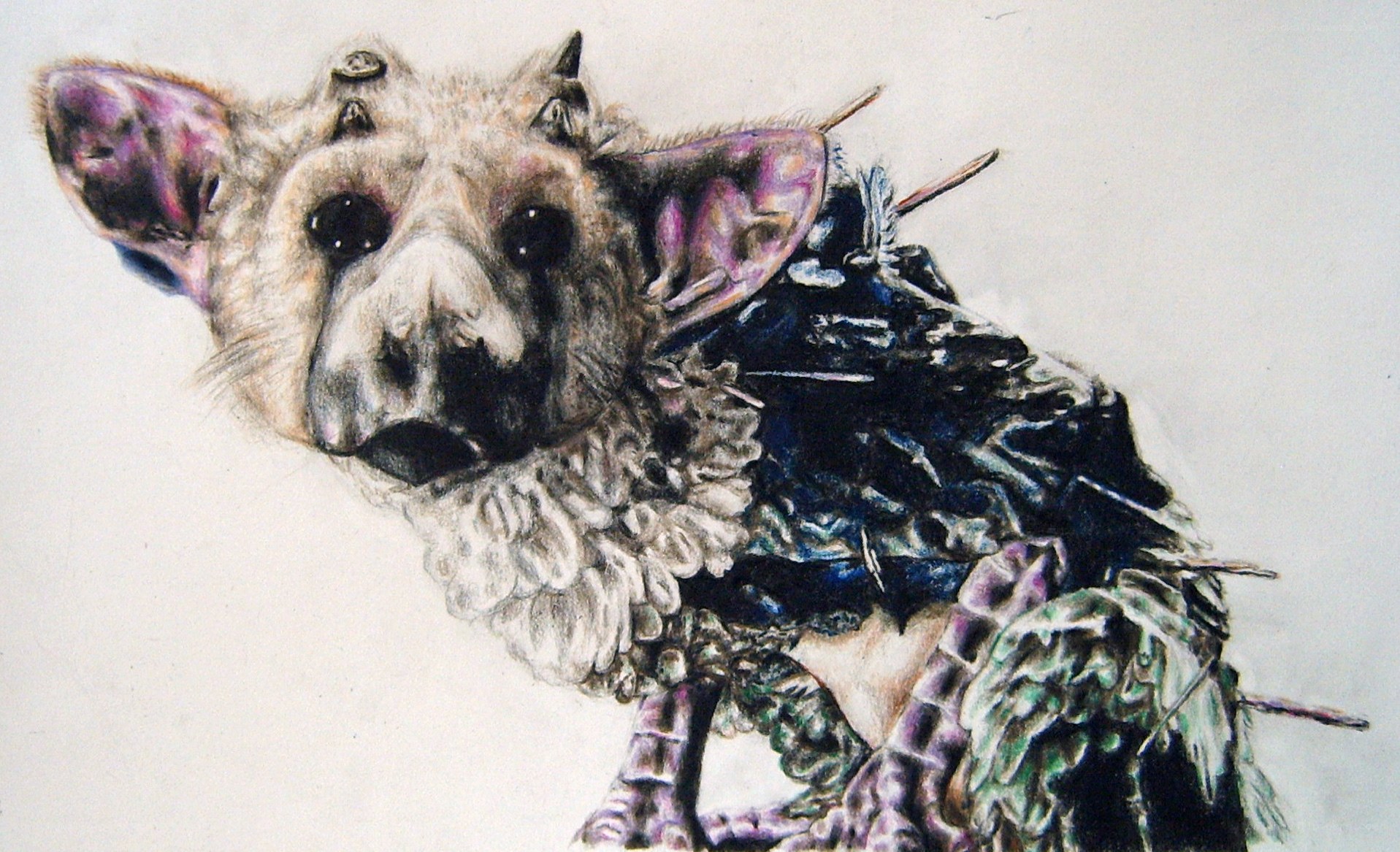 fantasy creature portrait