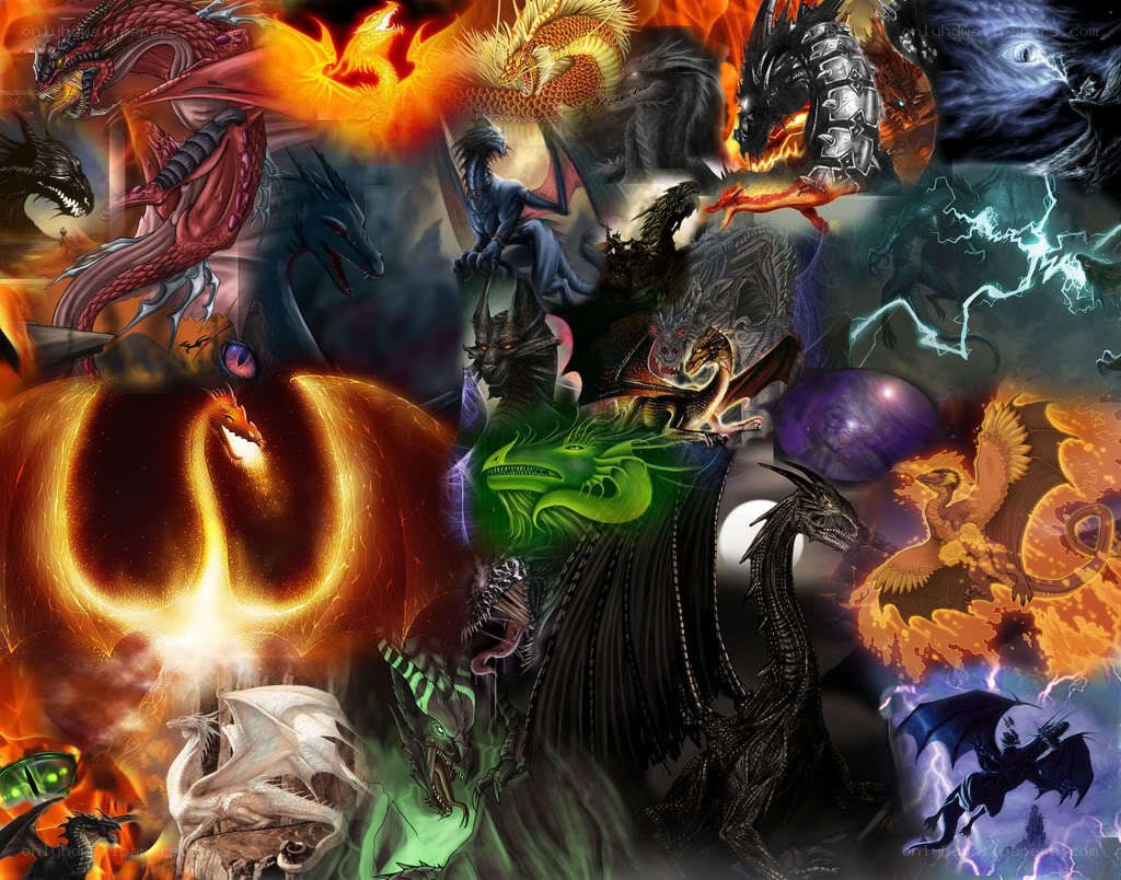 Fantasy dragons collage