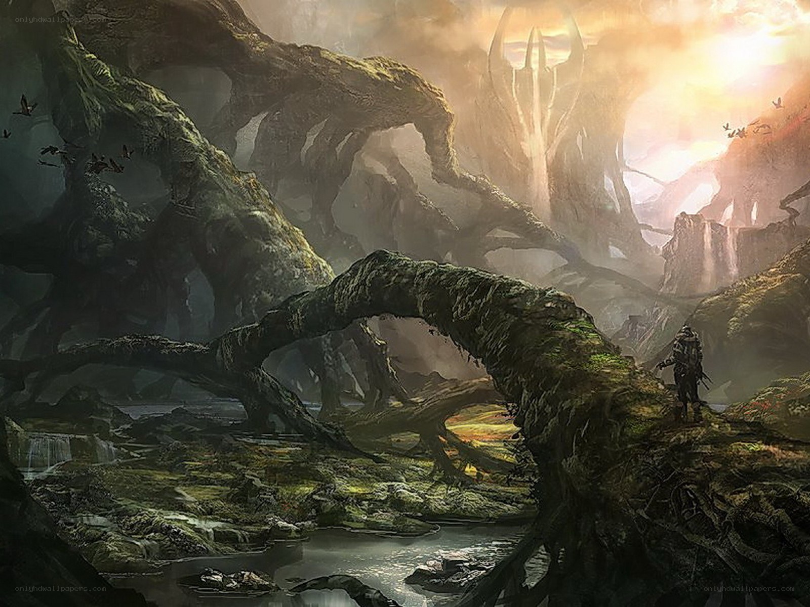 Fantasy forest landscape