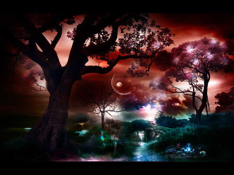 fantasy forest landscape