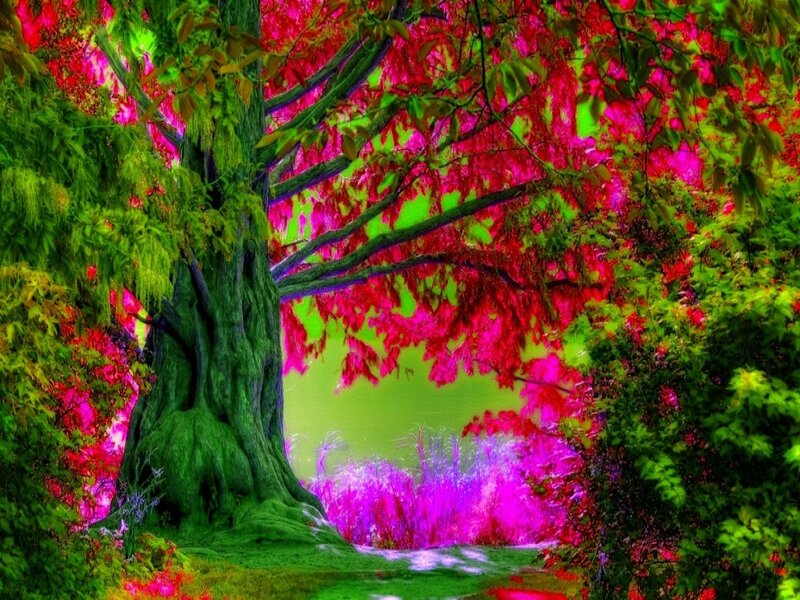 Fantasy Forest Scene — Green, Magical, Digital Art