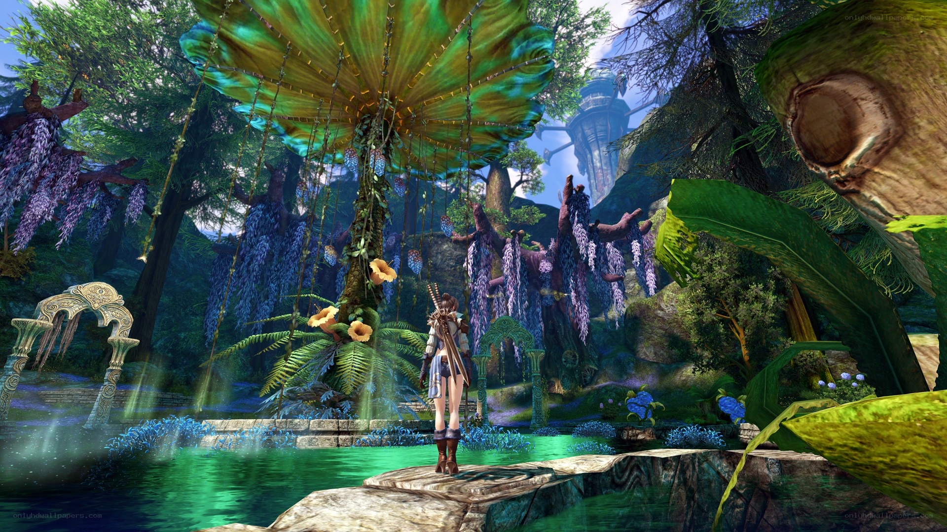fantasy forest scene
