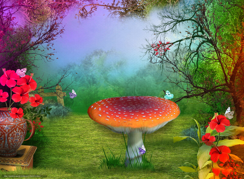 Fantasy forest with mushrooms