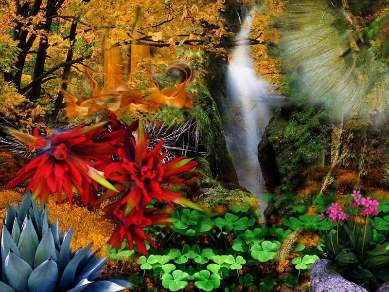 Fantasy forest with waterfall