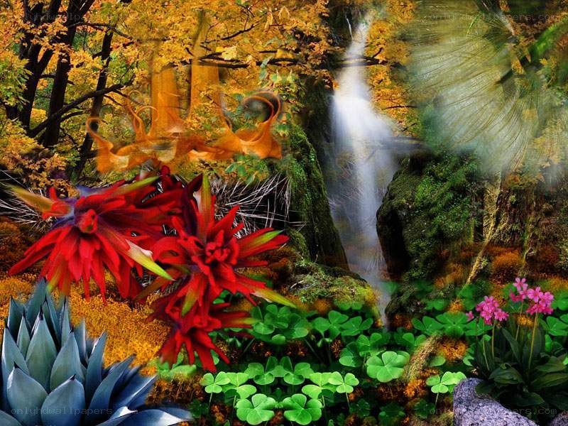 Fantasy forest with waterfall